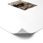 Pferde am Strand Poster (Ecke)