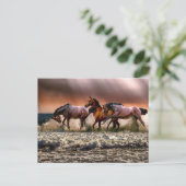 Pferde am Strand Postkarte (Stehend Vorderseite)