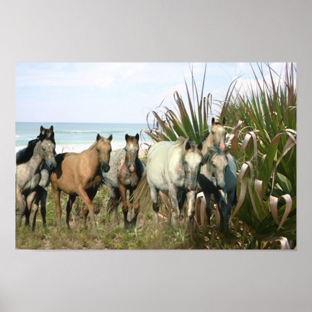 Pferde am Strand Print Poster (Vorne)