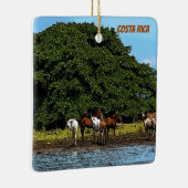 Pferde am Wasser - Costa Rica Keramikornament (Rechts)