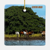 Pferde am Wasser - Costa Rica Keramikornament (Rückseite)