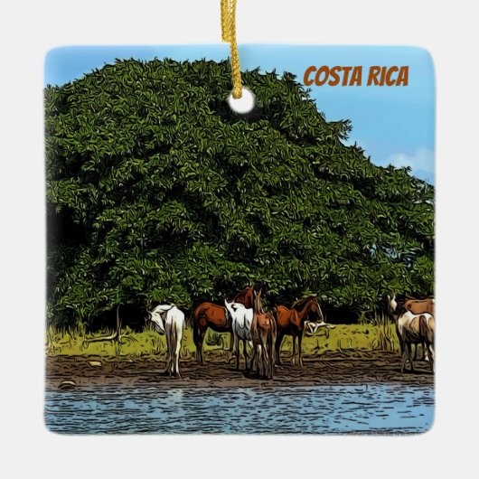 Pferde am Wasser - Costa Rica Keramikornament (Vorderseite)