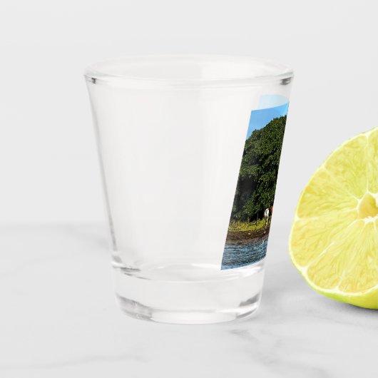 Pferde am Wasser - Costa Rica Schnapsglas (Links)