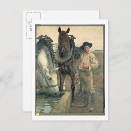 Pferde am Wassertrog, 1884 (Öl auf Leinwand) Postkarte (Vorne/Hinten)
