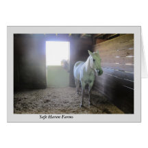 Pferde an der Erholung an den sicherer