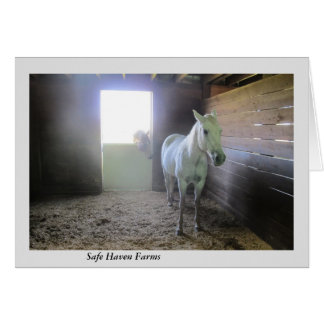 Pferde an der Erholung an den sicherer