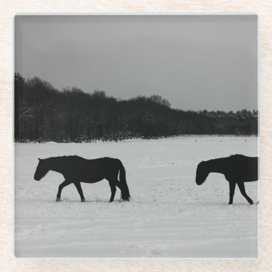 Pferde an der Schneeküste Glasuntersetzer (Vorderseite)