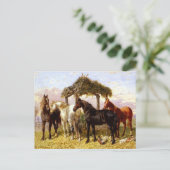 Pferde an einem Fluss um 1800 Postkarte (Stehend Vorderseite)