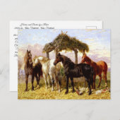 Pferde an einem Fluss um 1800 Postkarte (Vorne/Hinten)