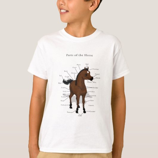 Pferde-Anatomie-Chart auf Bay Foal mit Star T-Shirt (Vorderseite)