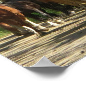 Pferde Aspens New Mexico Poster (Ecke)