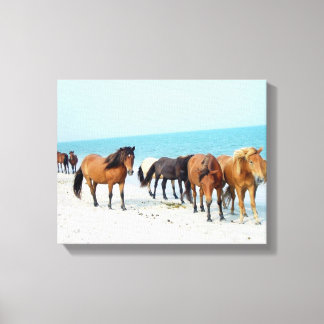Pferde Assateague National Sea Shore Maryland Leinwanddruck