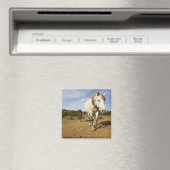 Pferde, Aude, Languedoc-Roussillon, Frankreich Magnet (In Situ (Geschirrspüler))