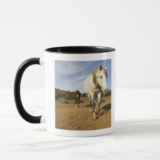 Pferde, Aude, Languedoc-Roussillon, Frankreich Tasse (Links)