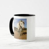Pferde, Aude, Languedoc-Roussillon, Frankreich Tasse (Vorderseite Links)
