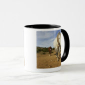 Pferde, Aude, Languedoc-Roussillon, Frankreich Tasse (VorderseiteRechts)