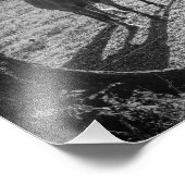 Pferde auf dem Feld Fotodruck (Ecke)