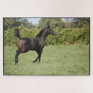 Pferde auf dem Feld laufen Puzzle