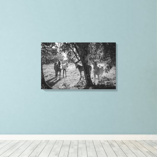 Pferde auf dem Feld Leinwanddruck (Insitu (Holzboden))