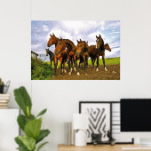 Pferde auf dem Feld Poster (Heimbüro)