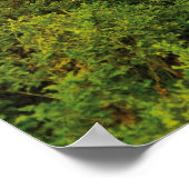 Pferde auf dem Feld Poster (Ecke)