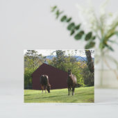 Pferde auf dem Feld Postkarte (Stehend Vorderseite)