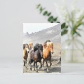 Pferde auf dem Weg zum Erfolg Postkarte (Stehend Vorderseite)