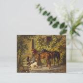 Pferde auf der Porch Postkarte (Stehend Vorderseite)