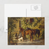 Pferde auf der Porch Postkarte (Vorne/Hinten)