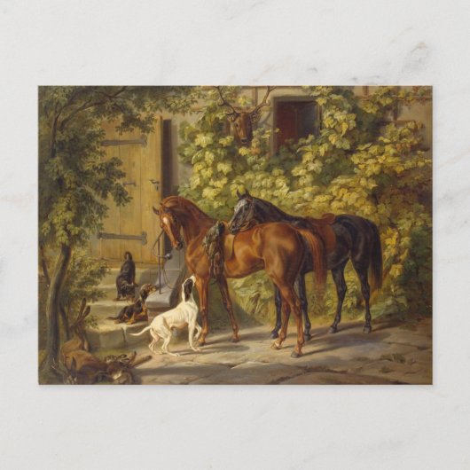 Pferde auf der Porch Postkarte (Vorderseite)