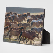 Pferde auf der Ranch, Innere Mongolei, China Fotoplatte (Seite)