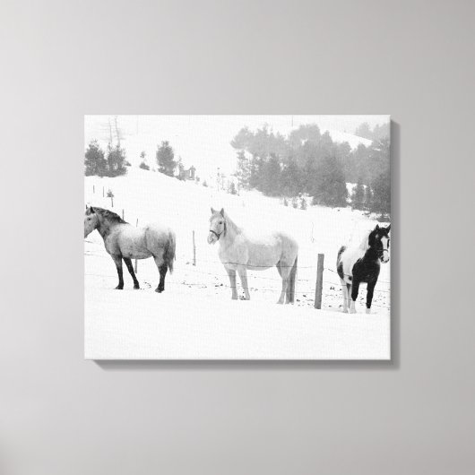 Pferde auf der Ranch Leinwanddruck (Vorderseite)