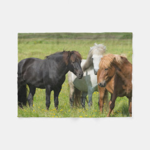 Pferde auf der Ranch, Südisland Fleecedecke
