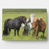 Pferde auf der Ranch, Südisland Fotoplatte (Vorderseite)