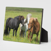 Pferde auf der Ranch, Südisland Fotoplatte (Seite)