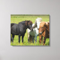 Pferde auf der Ranch, Südisland