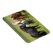 Pferde auf der Ranch, Südisland Magnet (Rechte Seite)