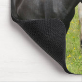 Pferde auf der Ranch, Südisland Mousepad (Ecke)