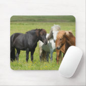 Pferde auf der Ranch, Südisland Mousepad (Mit Mouse)