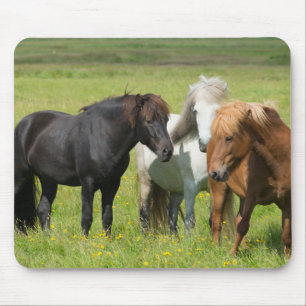 Pferde auf der Ranch, Südisland Mousepad