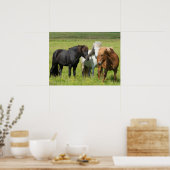 Pferde auf der Ranch, Südisland Poster (Küche)