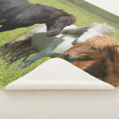Pferde auf der Ranch, Südisland Sherpadecke (3/4)