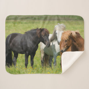 Pferde auf der Ranch, Südisland Sherpadecke