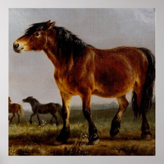 Pferde auf der Schlichten Landschaft Poster (Vorne)