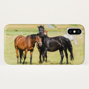 Pferde auf der Weide 003 Case-Mate iPhone Hülle