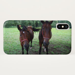 Pferde auf der Weide iPhone X Hülle