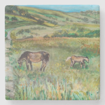 Pferde auf der Wiese