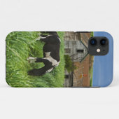 Pferde auf einem Feld im Palouse 2 Case-Mate iPhone Hülle (Rückseite (Horizontal))