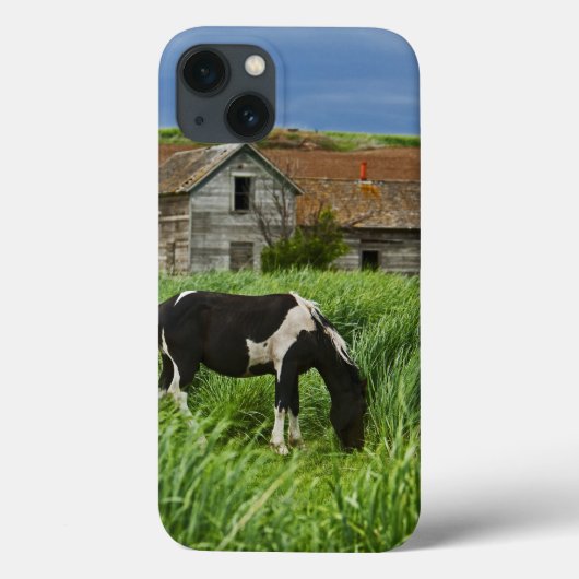 Pferde auf einem Feld im Palouse 2 Case-Mate iPhone Hülle (Rückseite)