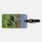 Pferde auf einem Feld im Palouse 2 Gepäckanhänger (Vorderseite horizontal)